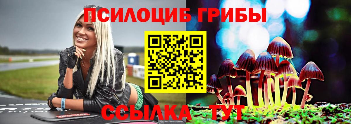 Галлюциногенные грибы мухоморы Краснокаменск