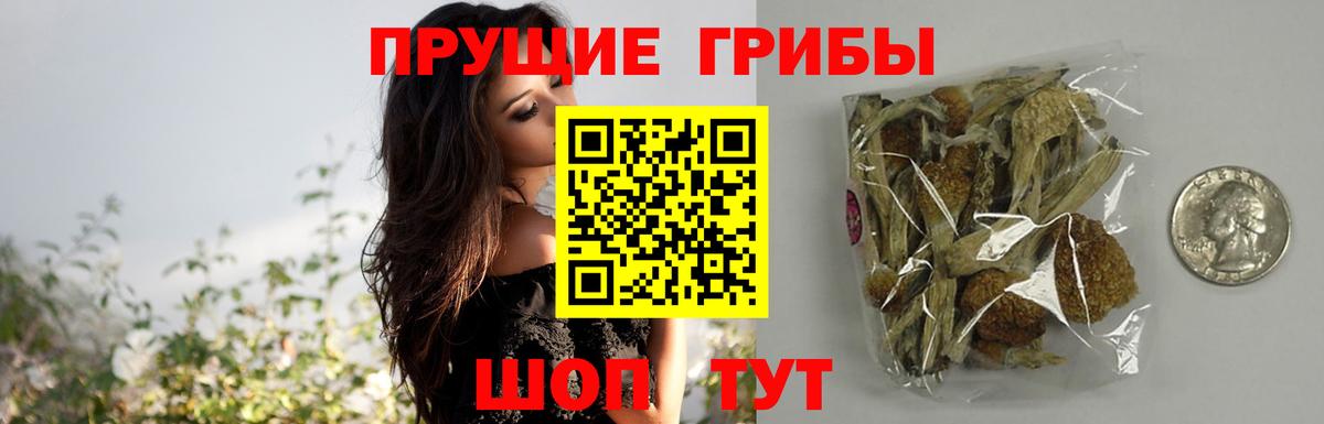 Краснокаменск  как найти закладки  Вход с VPN  Галлюциногенные грибы мухоморы 